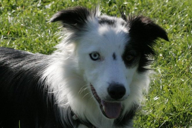 26753_374067808847_555673847_3785082_6568815_n