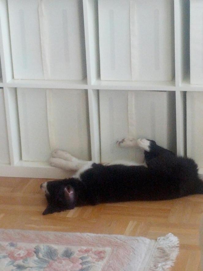 256056_10151043061088848_1797189336_o