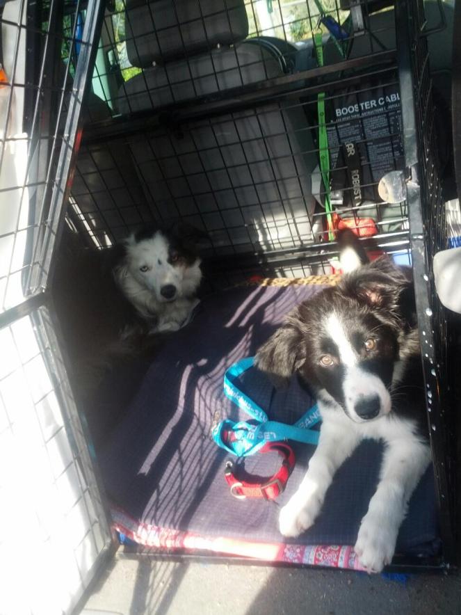 467032_10151042866873848_923933686_o