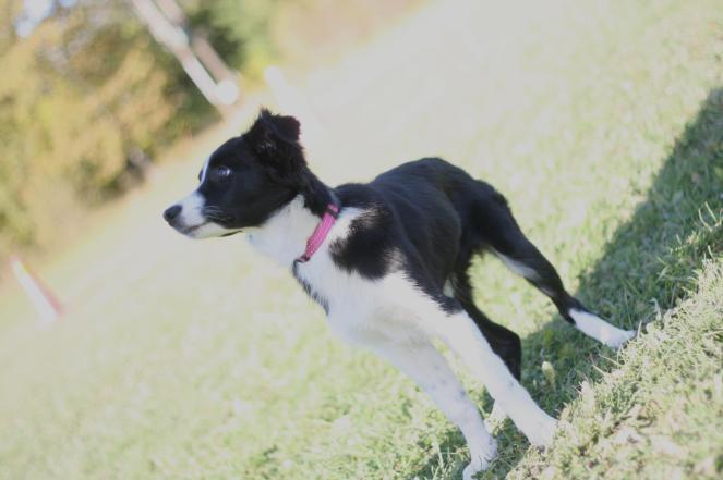 456290_511999118810381_29944469_o