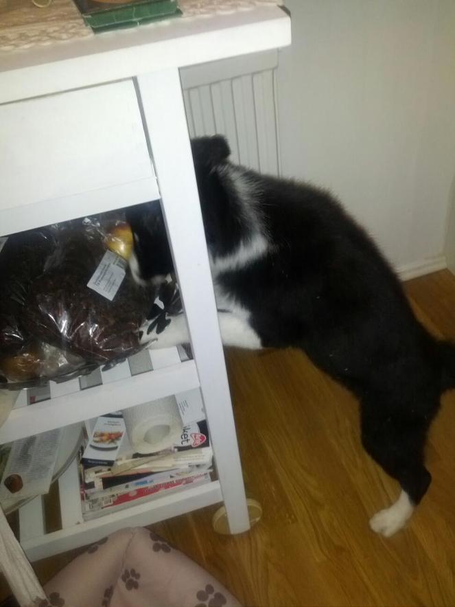 326172_10151042523783848_1733372516_o