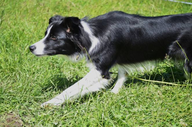 966273_10152929848930035_2027692073_o