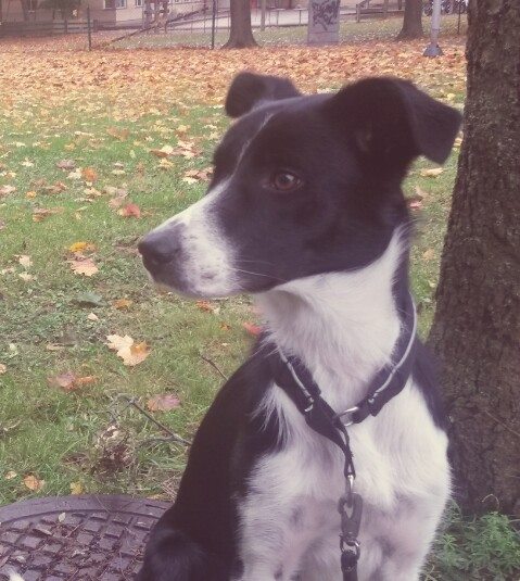 1391641_10151688387018848_1034809112_n