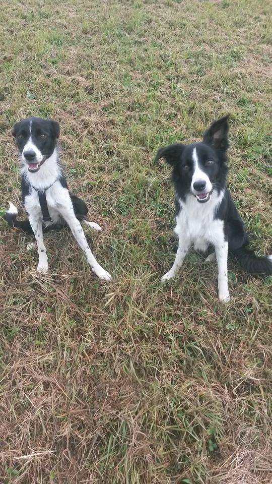 1392846_10151686397288848_1336403540_n