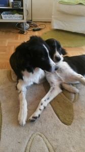 10380975_10152136245053848_1522837581947426256_n