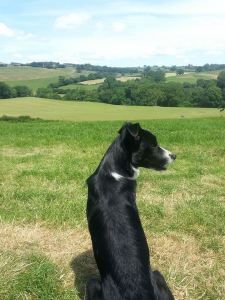 10469940_10152228163523848_5125926004384934482_n