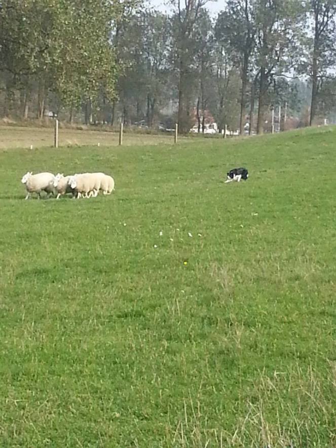 1779905_10152416867328848_2051829013743889831_n