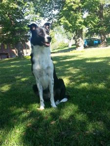 7100_10152403897198848_4103028172026265477_n