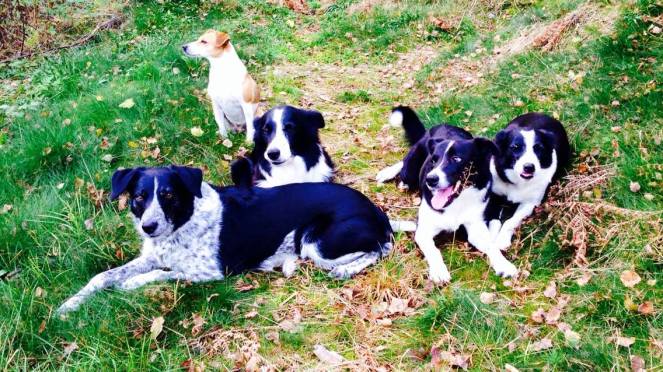 664482_814487708593335_6477936435709929886_o