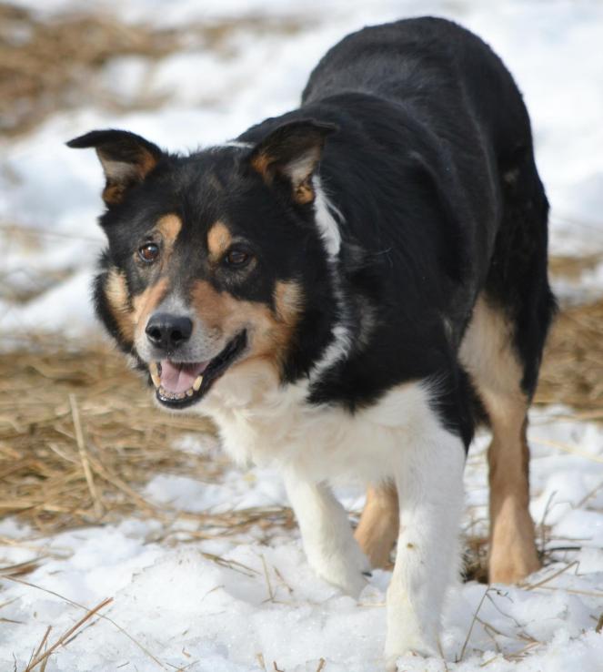 857114_516793165038108_1857911263_o (1)