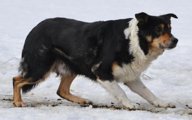 886780_516791198371638_236331435_o