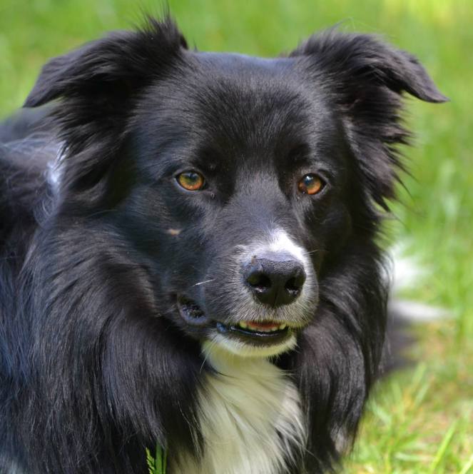 966899_559033617480729_2134425861_o